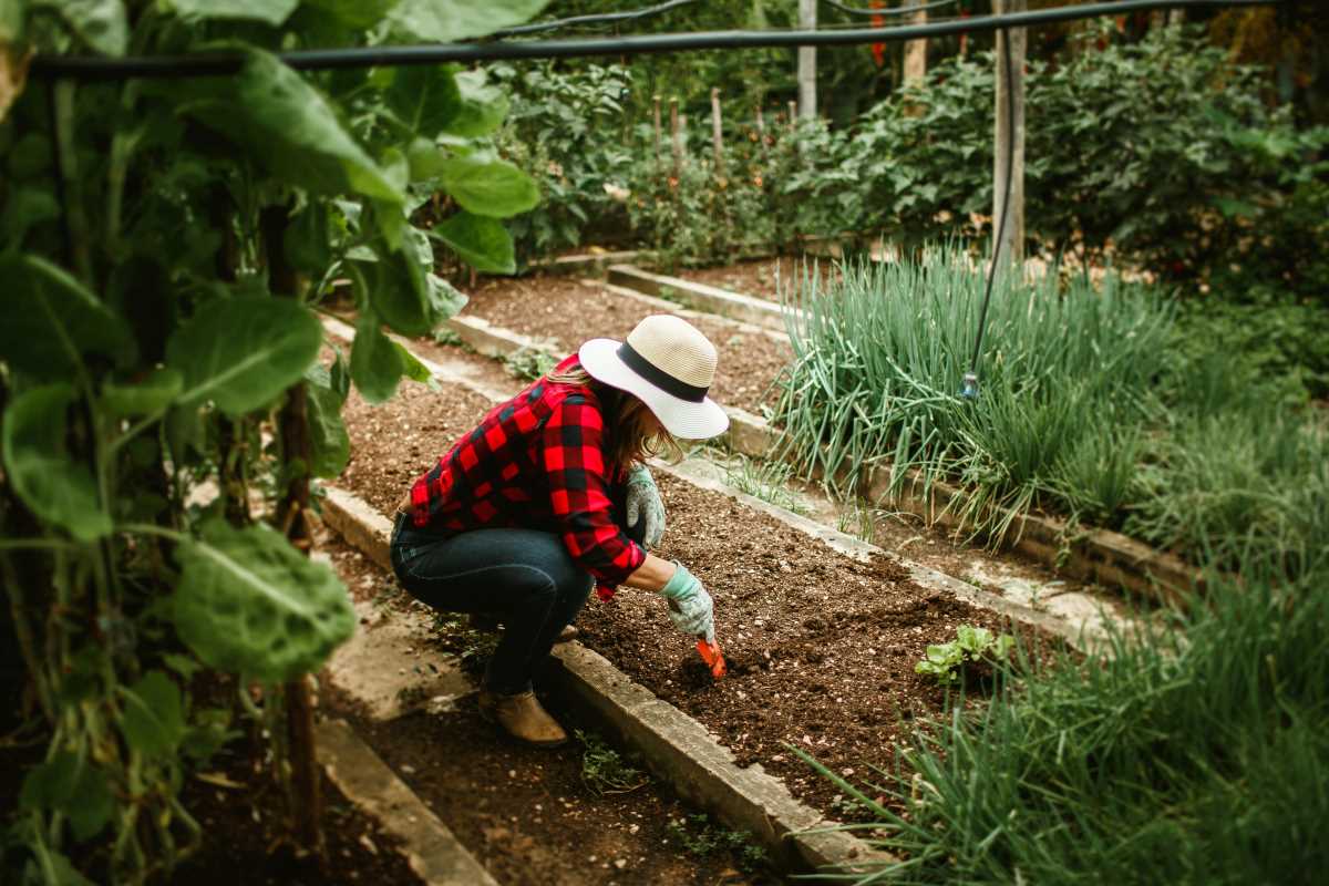 The 7 Best Strategies for Managing Seasonal Cash Flow in Agricultural Small Enterprises